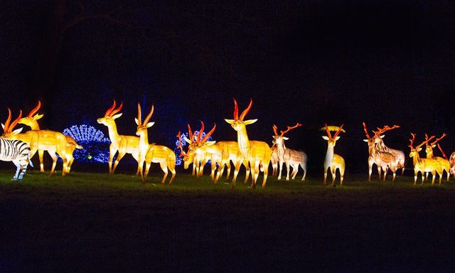 У Великобританії стартував фестиваль чарівних ліхтарів- фото 122557