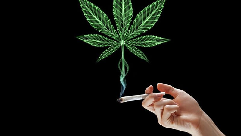 Марихуана шкідлива для інтелекту, – вчені