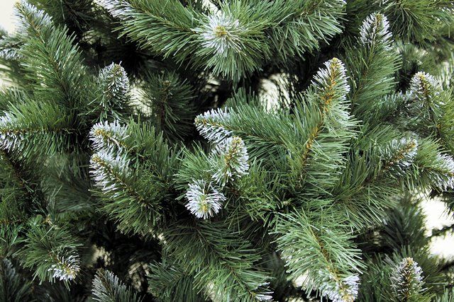 Стало відомо, скільки цьогоріч коштуватиме ялинка