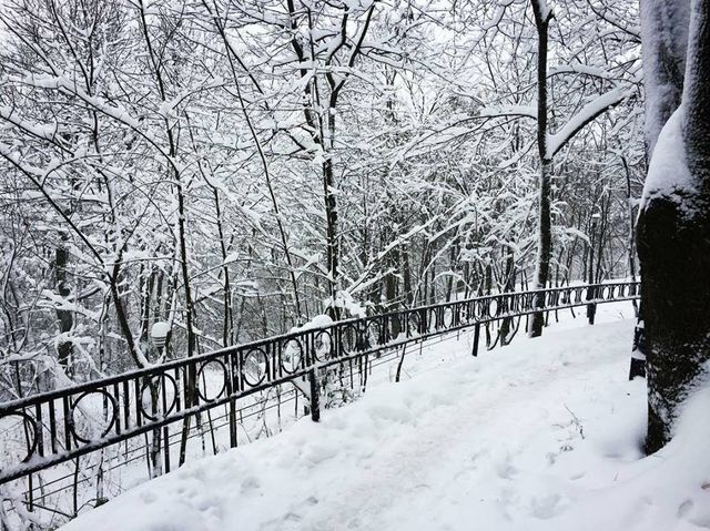 У мережі показали казковий Львів під снігом - фото 118342