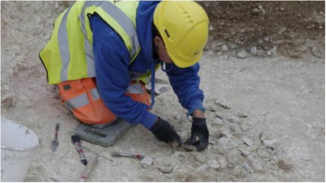 Вчені знайшли біля Стоунхенджа пам'ятник з людськими черепами