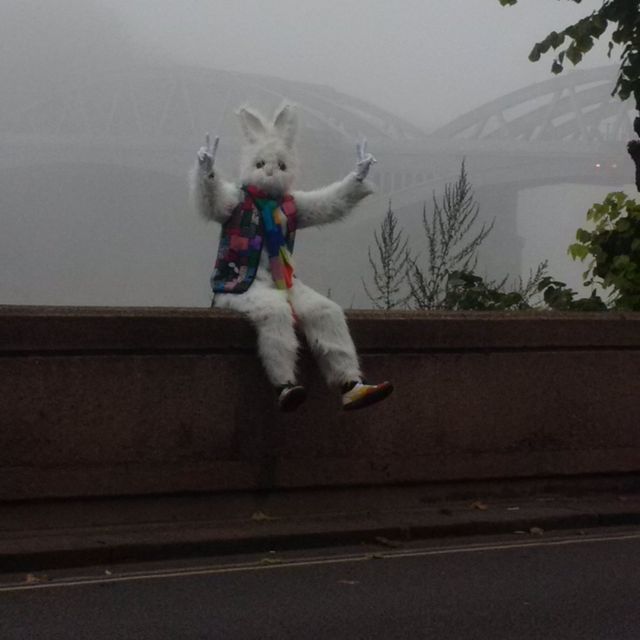 Білий кролик тероризує мешканців Лондона 
 - фото 116405