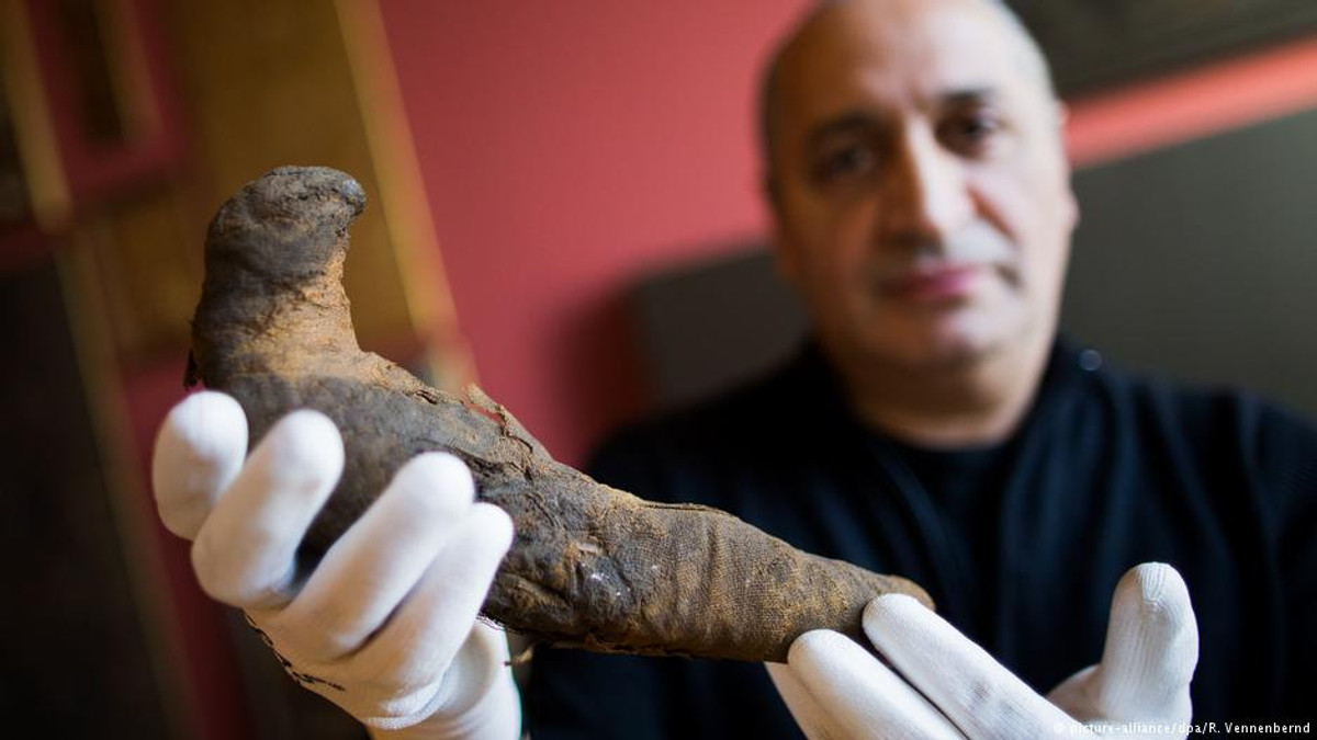У Німеччині знайшли унікальну мумію єгипетського сокола - фото 1