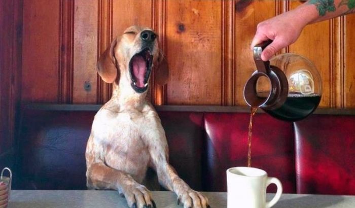 Медики озвучили основну причину появи хвороб