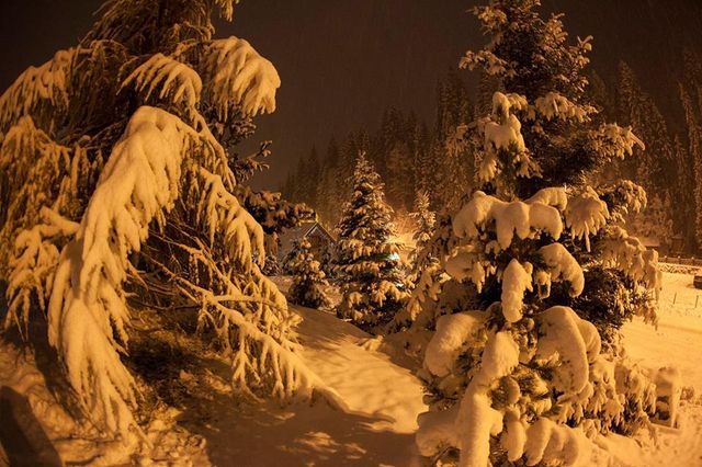 Мережу підкорили неймовірні фото засніжених Карпат - фото 118249