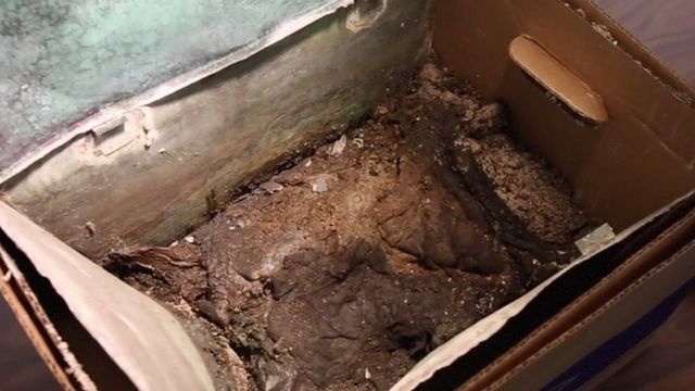 Вчені відкрили капсулу часу: опубліковано відео - фото 120900