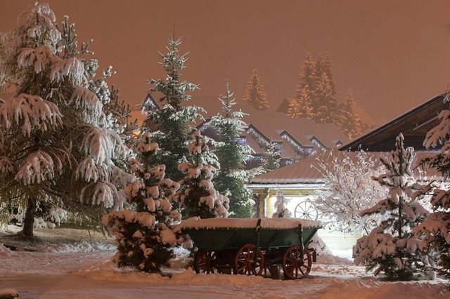 Мережу підкорили неймовірні фото засніжених Карпат - фото 118246