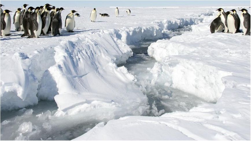 Учені показали, як Антарктида руйнується зсередини