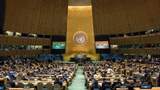 Білорусь блокувала резолюцію щодо Криму на Генасамблеї ООН