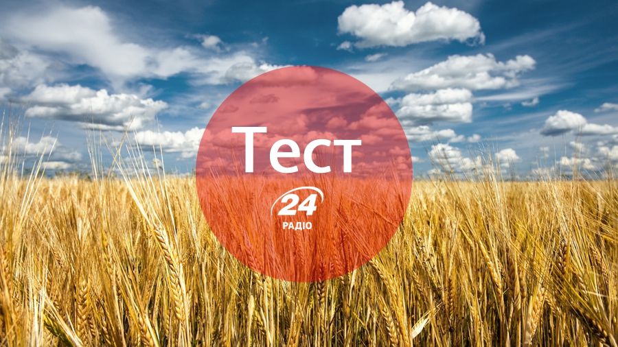 Тест: Чи добре ти знаєш українську говірку?