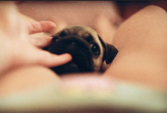 Найвідвертіші фото 24-річної заступниці Авакова - фото 117797