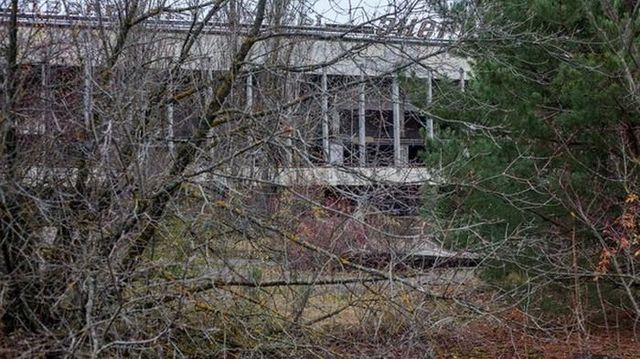 Прип'ять до катастрофи і тепер: фотопорівняння - фото 122640