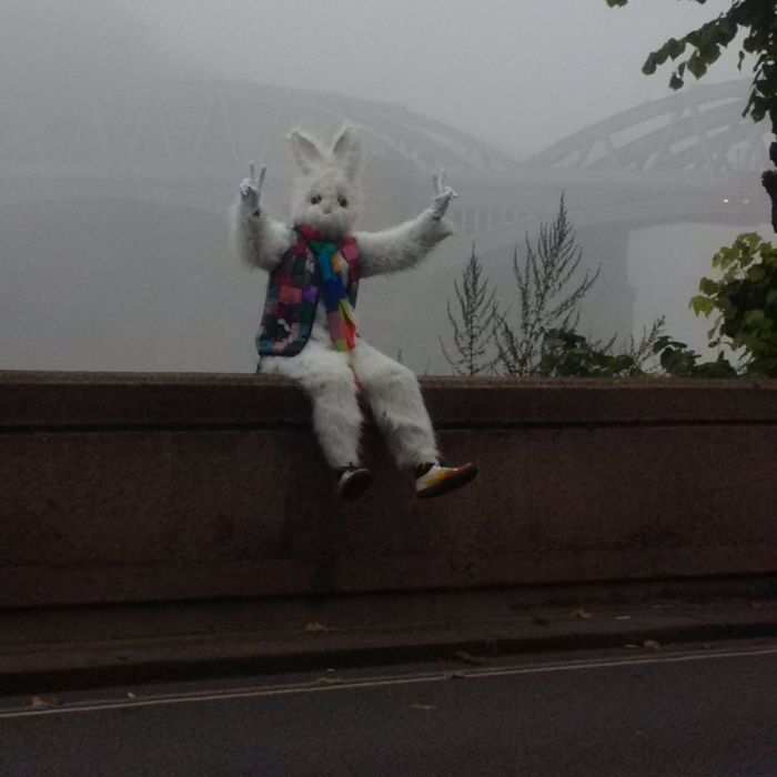 Білий кролик тероризує мешканців Лондона