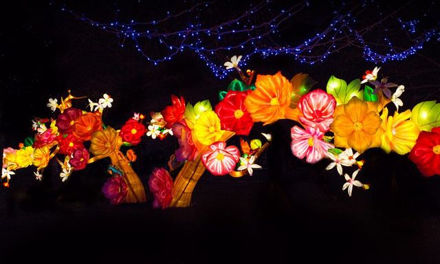 У Великобританії стартував фестиваль чарівних ліхтарів- фото 122560