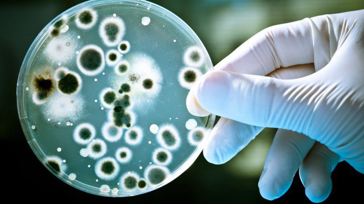 Науковці знайшли бактерію віком понад 2,5 мільярда років - фото 1
