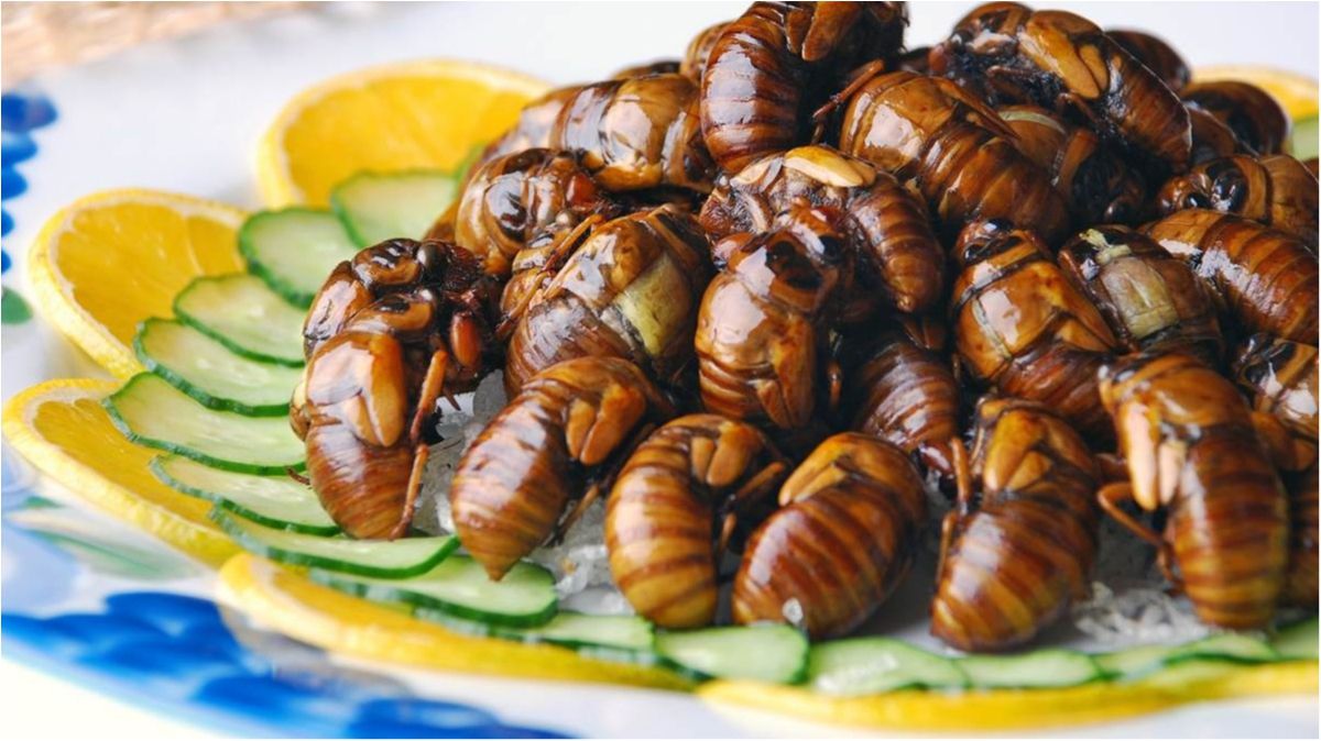 Вчені знайшли унікальний замінник м'яса