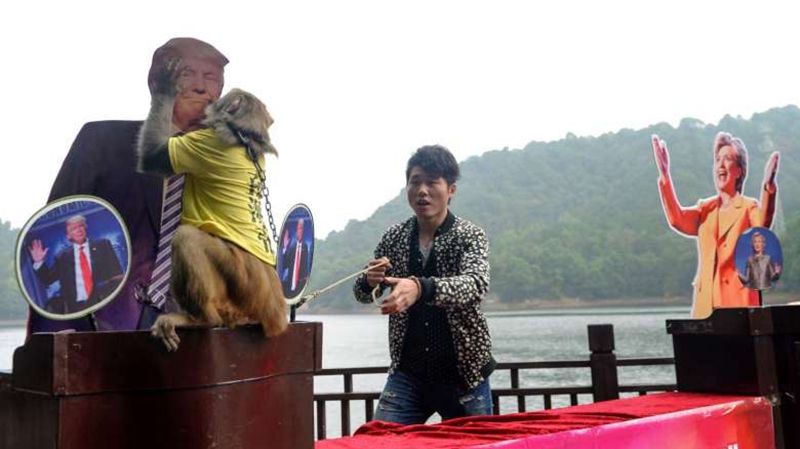 Мавпа та інші звірі: хто передбачив перемогу Трампа