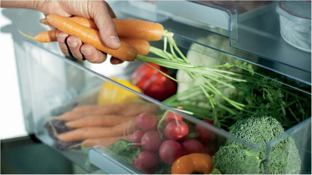 Вчені знайшли найбрудніше місце в холодильнику