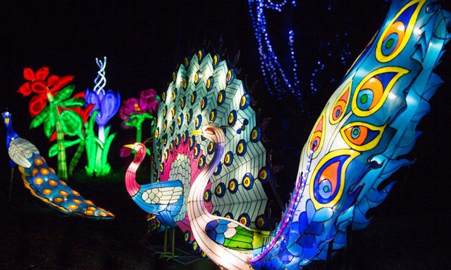 У Великобританії стартував фестиваль чарівних ліхтарів- фото 122558