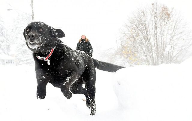 Сніг - фото 120460