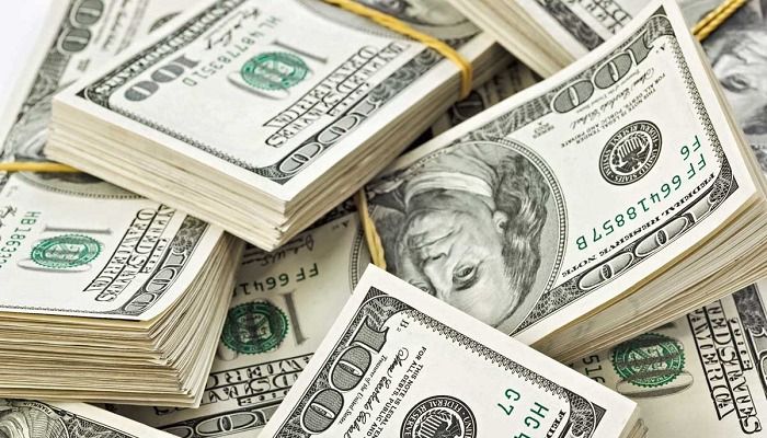 Експерт розповіла, що станеться з доларом до кінця 2016 року