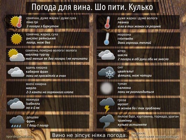 Закарпатці сказали, у яку погоду і скільки треба пити вина
 - фото 118328