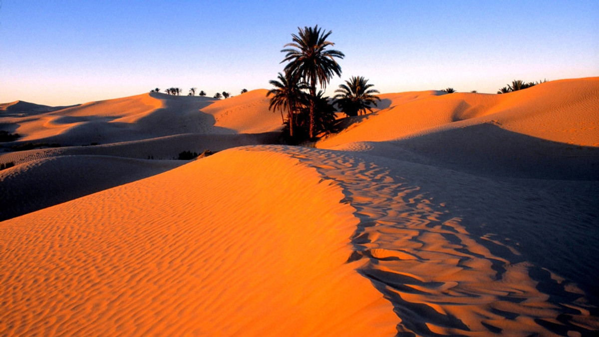 Стало відомо, чому Сахара перетворилася у пустелю - фото 1