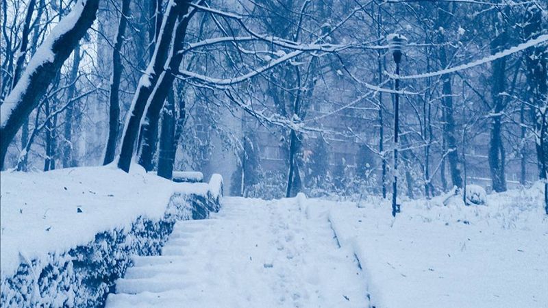 У мережі показали казковий Львів під снігом