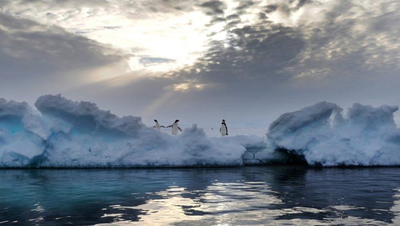 Вчені зробили неймовірну заяву про озонову діру