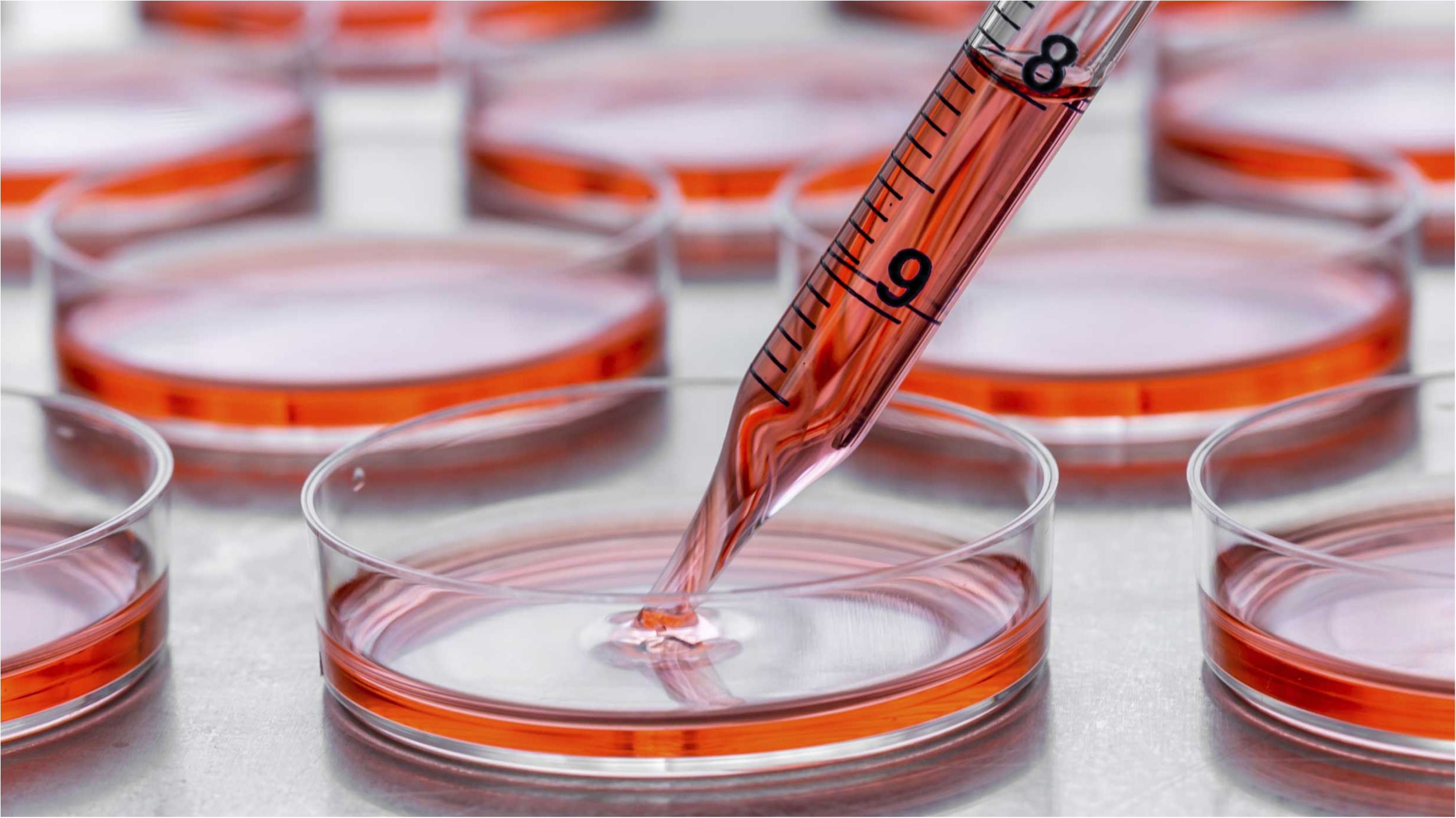 Вперше в історії над людиною провели генетичний експеримент