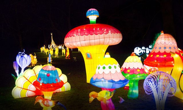 У Великобританії стартував фестиваль чарівних ліхтарів- фото 122555