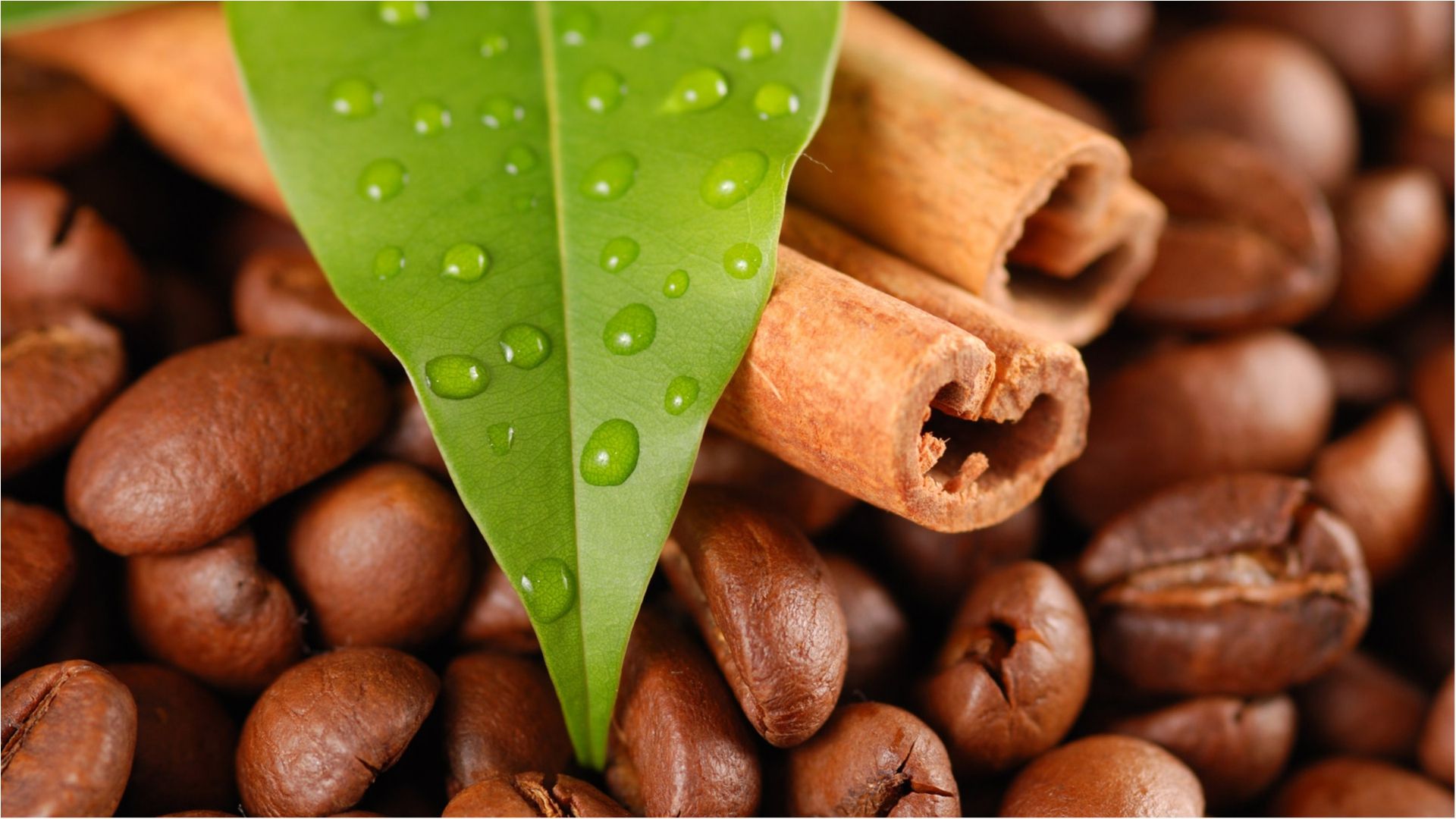 Чай чи кава: який напій більш корисний для здоров'я