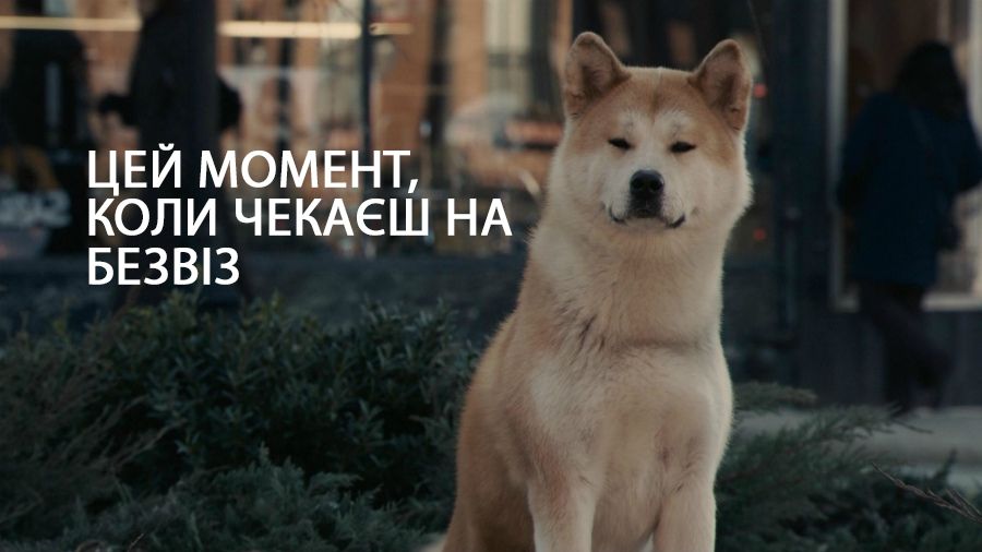Як у соцмережах відреагували на відкладення безвізу