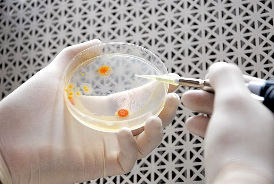 Учені виявили потужний антибіотик в організмі людини