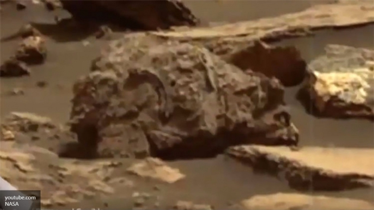 На Марсі виявлені скам'янілі останки ведмедя - фото 1