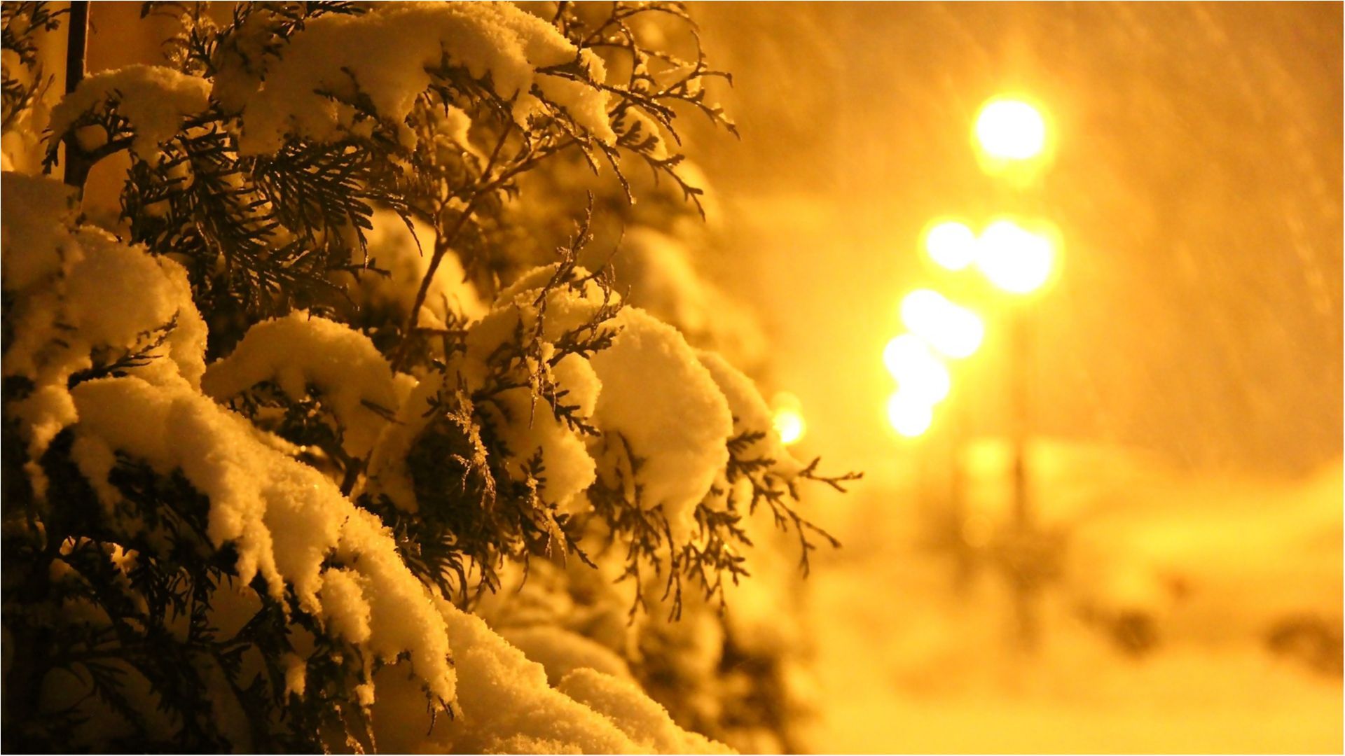 Стало відомо, якою буде завтра погода в Україні