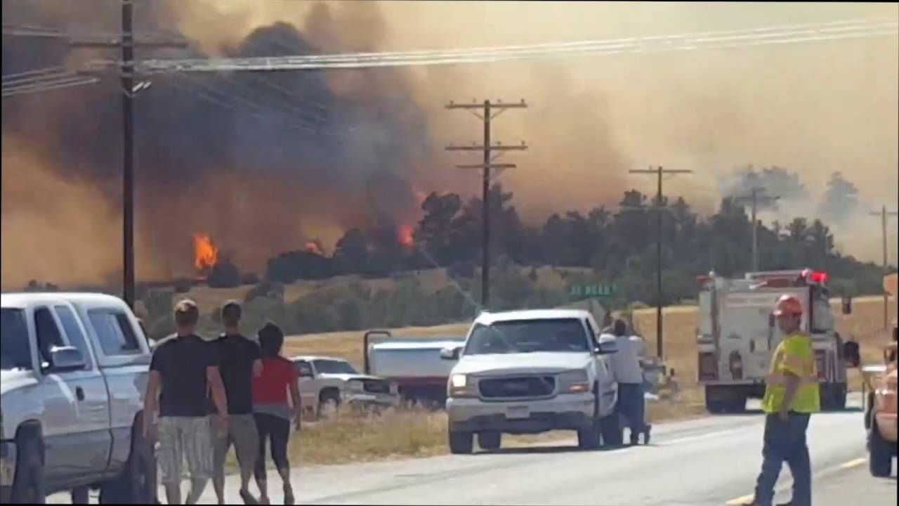 У США вирують страшні лісові пожежі