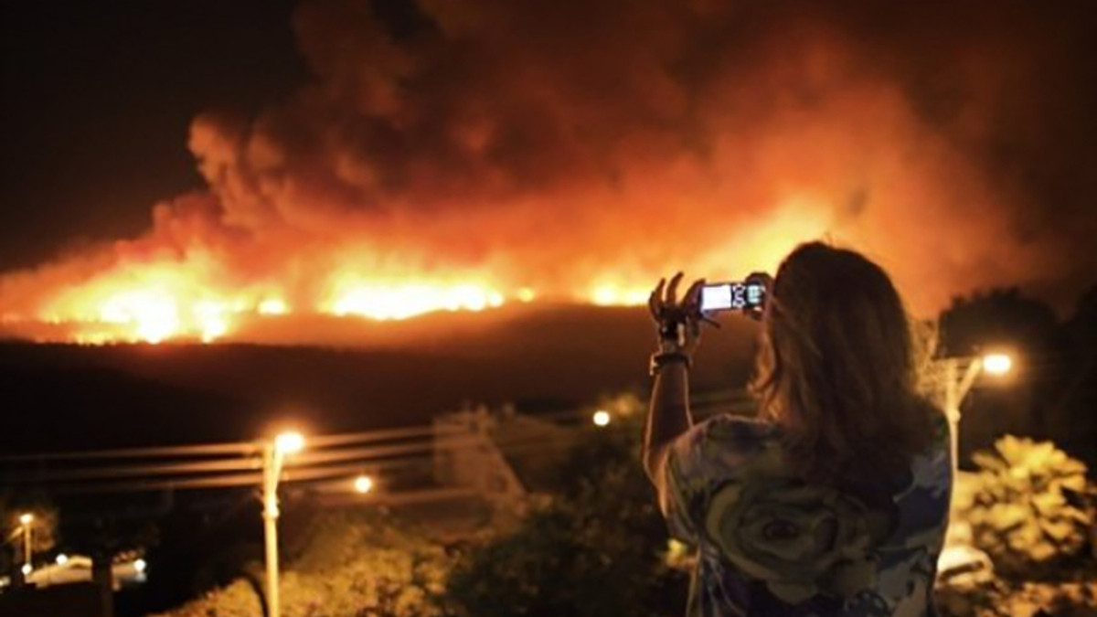 В Ізраїлі третій день вирують масштабні пожежі: є постраждалі - фото 1