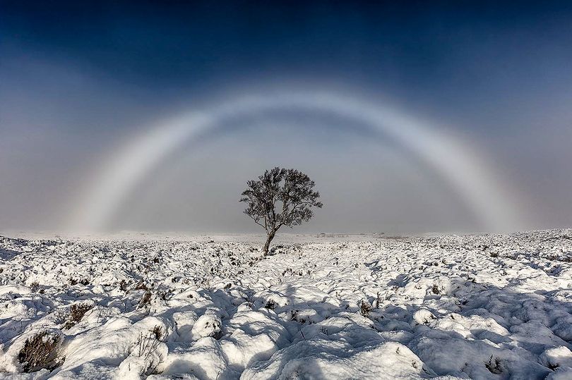 З'явилося фото неймовірної білої веселки