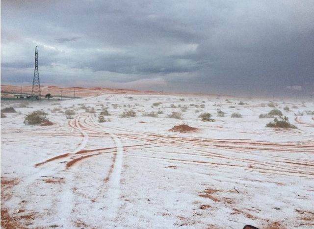 Сніг - фото 122424