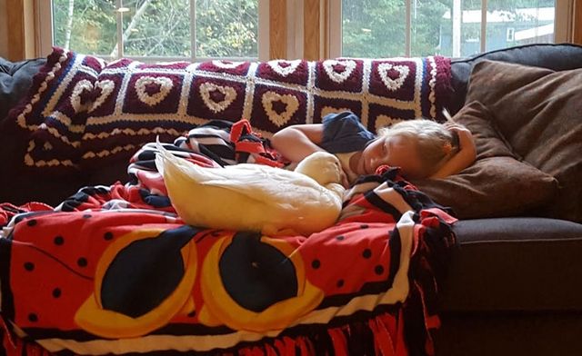 Качка - фото 115287