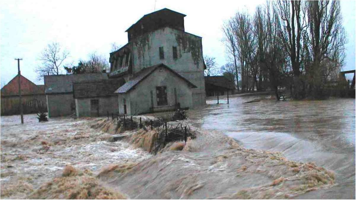 На Закарпатті ліквідовують жахливі наслідки підтоплень