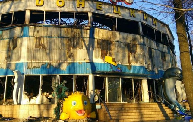 У Донецьку згорів дельфінарій: з'явилися фото - фото 121175