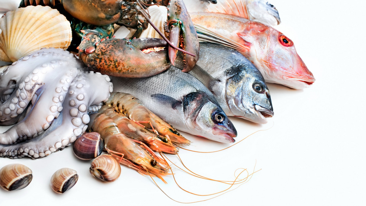 Чим корисні для організму морепродукти - фото 1