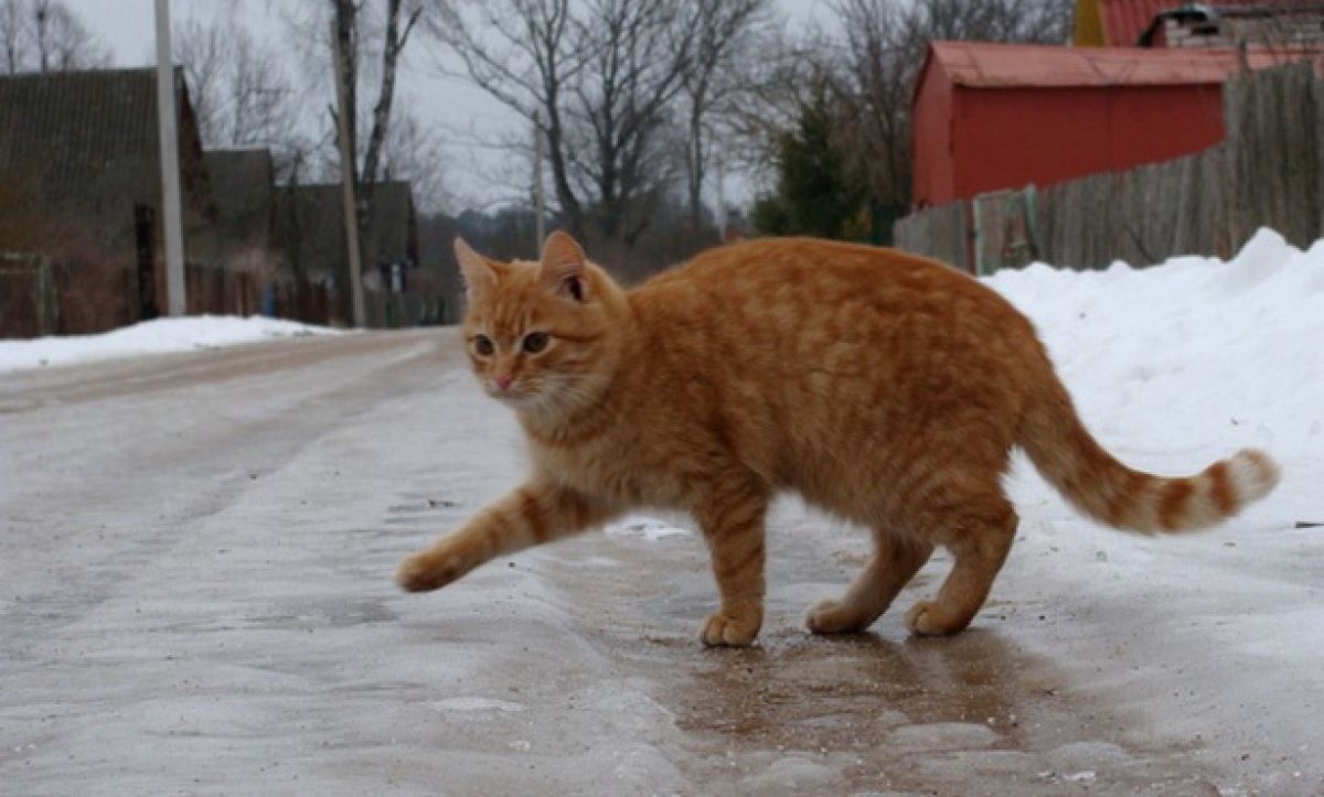 Відомо, чому безглуздо носити зимове взуття