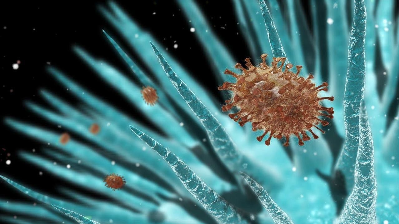 Українцям загрожує нова небезпечна епідемія