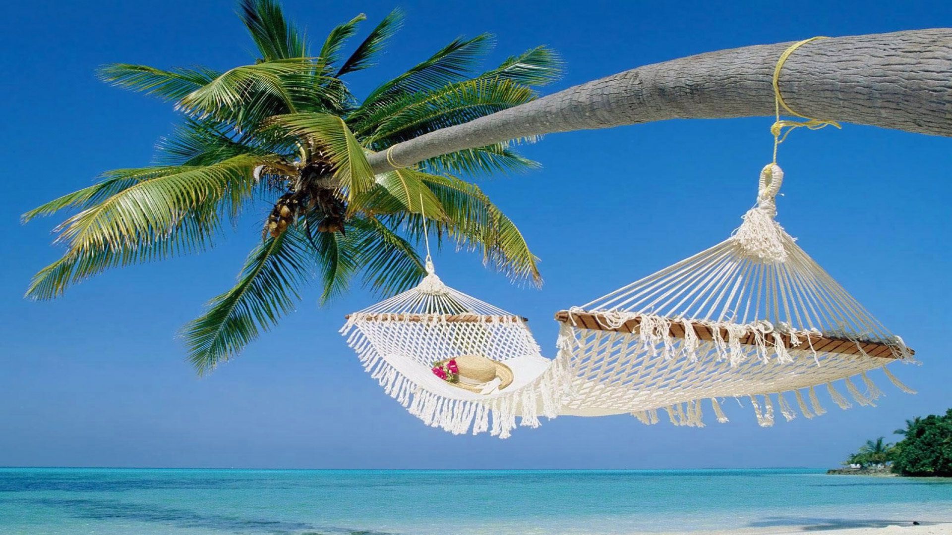 У Нідерландах показали літаючі гамаки