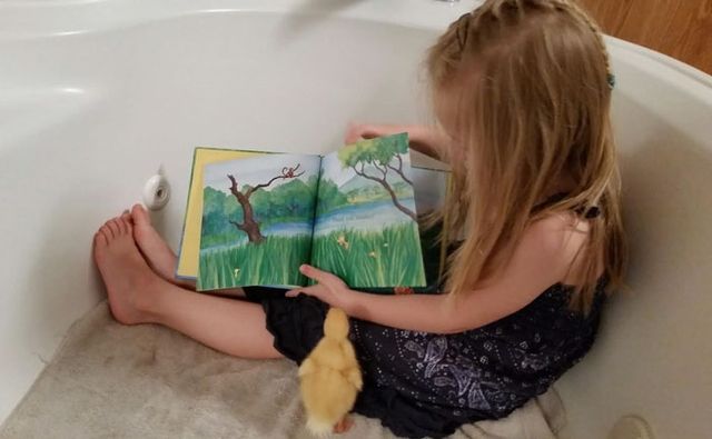 Качка - фото 115293