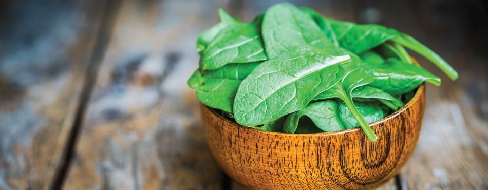 Вчені "навчили" шпинат розпізнавати вибухівку