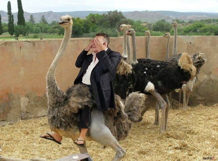 Іронія дня: Янукович з Азаровим поскаржились на революцію - фото 1